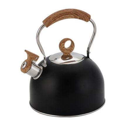 Modern Tea Pot